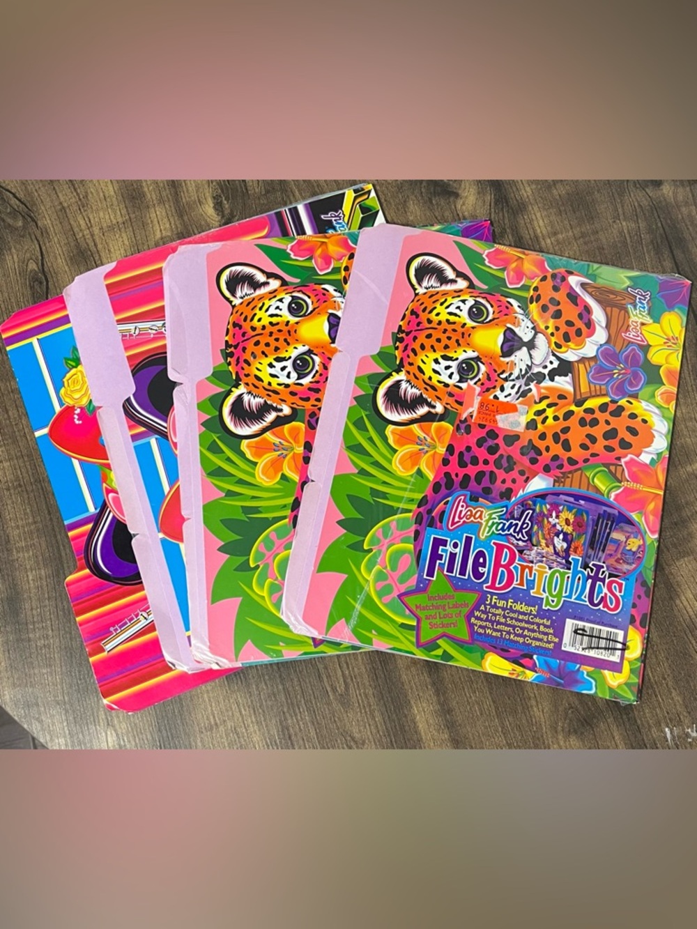 Lisa Frank File Brights